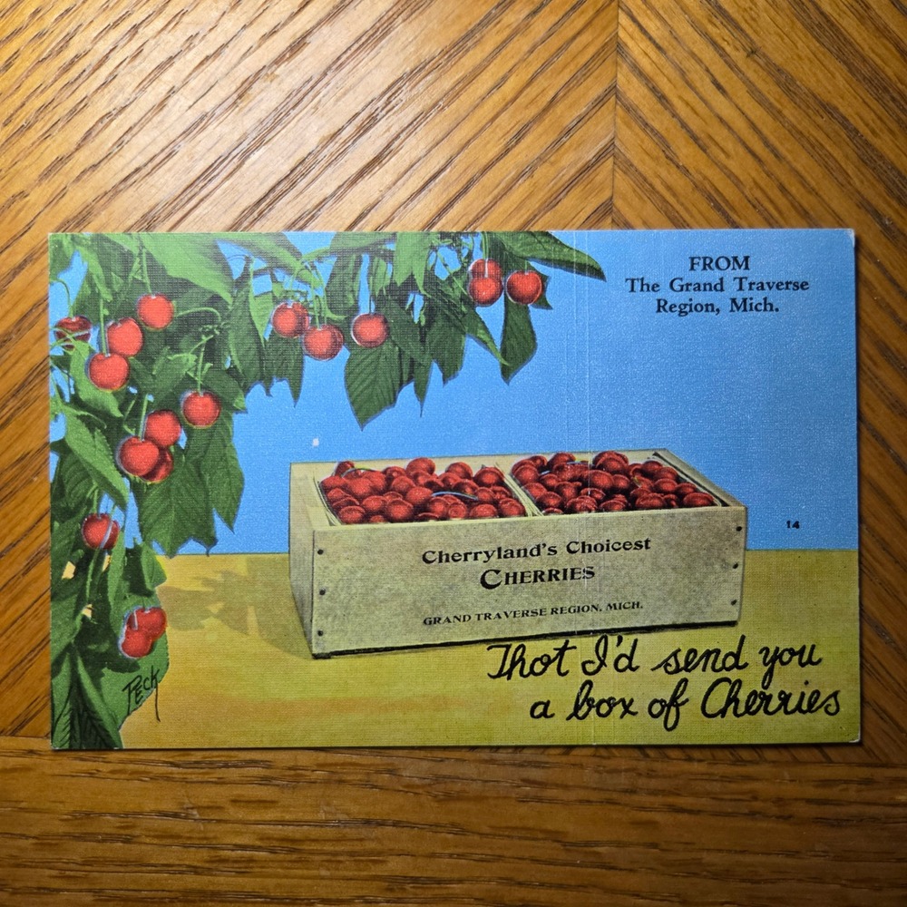 Vintage Grand Traverse Region Michigan Cherryland Postcard Orson W Peck
